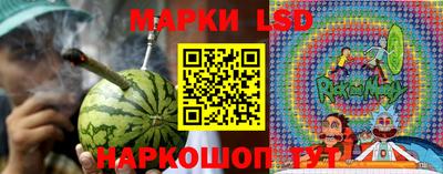 дмт Аргун