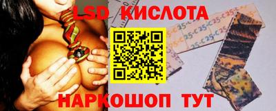 дмт Аргун