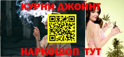 дмт Аргун