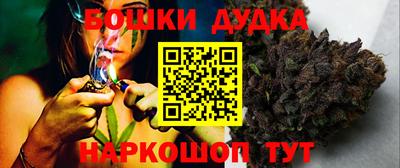 дмт Аргун