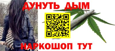 дмт Аргун