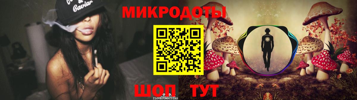 Великий Устюг  Псилоцибиновые грибы Psilocybe  Вход с VPN 